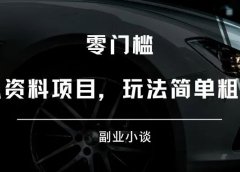 虚拟资料项目，玩法简单粗暴！