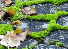 40岁左右的人适合做的三种生意。