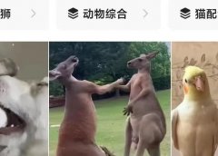 简单视频搬运项目,开启自己的副业小金库