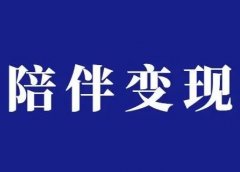 分享一个安静的赚钱项目
