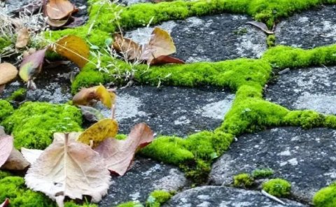 40岁左右的人适合做的三种生意。