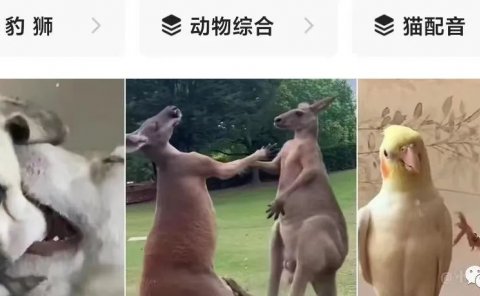 简单视频搬运项目,开启自己的副业小金库