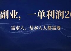 冷门副业,一单利润200块