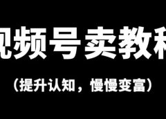 视频号卖教程,一单3980