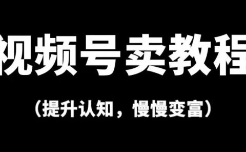 视频号卖教程,一单3980