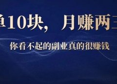 一单10块,月赚两三万,你看不起的副业真的很赚钱