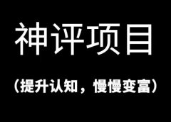 神评论,月入三万的简单小项目,