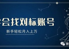 网赚新手如何寻找对标账号,轻松实现月入过万