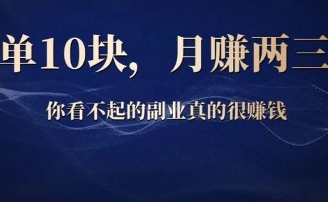 一单10块,月赚两三万,你看不起的副业真的很赚钱