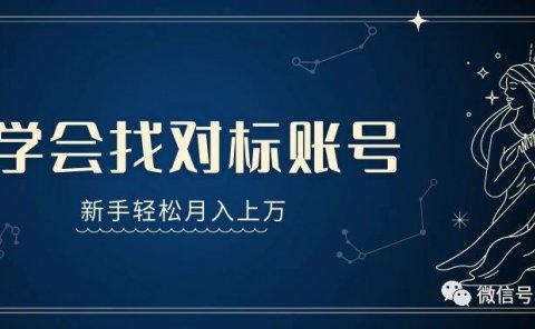 网赚新手如何寻找对标账号,轻松实现月入过万