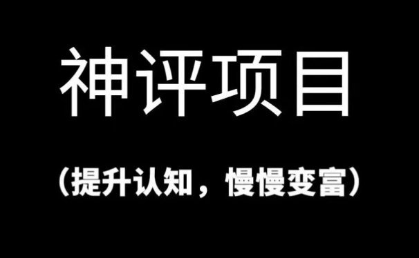 神评论,月入三万的简单小项目,