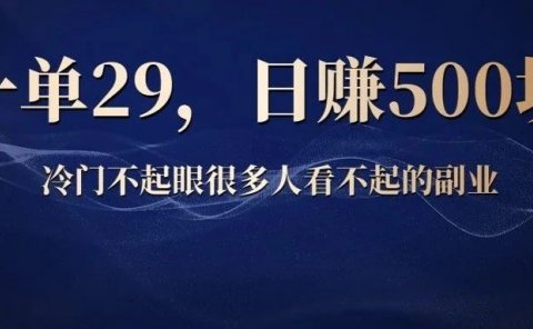 Tiktok美女混剪视频:一单29,日赚500块,冷门不起眼很多人看不起的副业