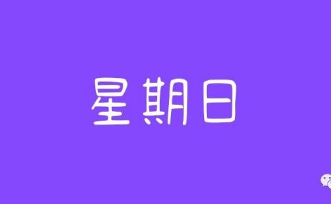 网站全自动成交项目:一单9.9,一天50单,干起来!