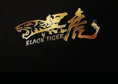 微信视频号怎么做才能涨粉丝最快?很简单!无需发作品