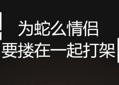 离异!33岁宝妈带着娃找我,4个小时学会用AI工具,5分钟就做出爆款口播视频!我高兴极了...