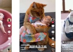 如何让AI小猫帮你带娃?