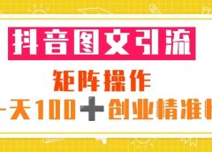 抖音图文引流 矩阵操作 一天100+创业精准粉(5节视频课+素材模板)
