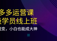 拼多多运营课:超级学员线上班,21天蜕变,小白也能成大神