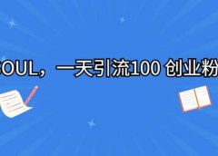 SOUL,一天引流100 创业粉