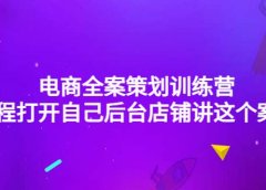 电商全案策划训练营:全程打开自己后台店铺讲这个案例(9节课时)