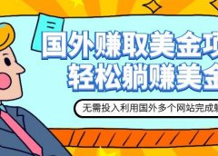 赚美金项目 用好这几个网站 轻松在家完成躺赚美金