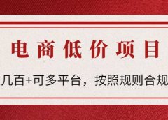 电商低价赔FU项目:按照规则合规操作