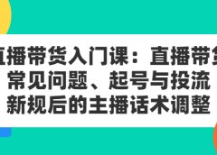 直播带货入门课:直播带货常见问题、起号与投流、新规后的主播话术调整