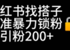 小红书找搭子暴力精准锁粉+引流日引200+精准粉