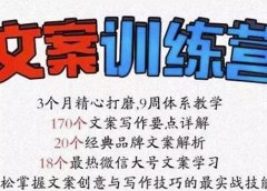 龙小天《文案训练营》全面系统解决文案写作难题!