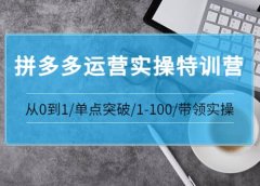 拼多多运营实操特训营:从0到1/单点突破/1-100/带领实操 价值2980元
