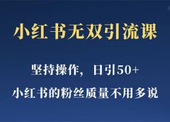 小红书无双课一天引50+女粉,不用做视频发视频,小白也很容易上手拿到结果