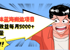 自媒体蓝海搬运项目,价值680元
