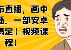 无绿布直播，画中画直播，一部安卓手机搞定【视频课程】