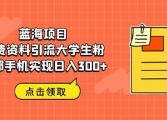 蓝海项目,免费资料引流大学生粉一部手机实现日入300+