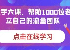 IP-操盘手大课,帮助1000位老板建立自己的流量团队(13节课)