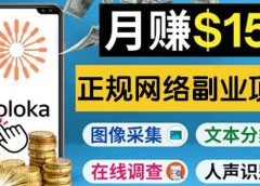 正规网络副业赚钱平台Toloka,利用业余时间月赚150美元
