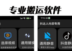 对外收费699抖音傻瓜式一键搬运,起号专用5分钟一个视频《软件+详细教程》