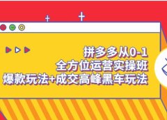 拼多多从0-1全方位运营实操班：爆款玩法+成交高峰黑车玩法（价值1280）