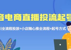 抖音电商直播投流起号课程 巨量千川全流程投放+小店随心推全流程+起号方式