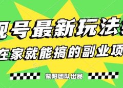 月变现6000+,影视号最新玩法,0粉就能直接实操【揭秘】