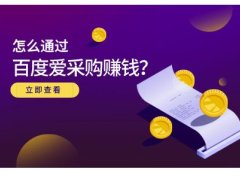 怎么通过百度爱采购赚钱,已经通过百度爱采购完成200多万的销量