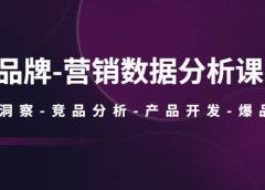品牌-营销数据分析课，行业洞察-竞品分析-产品开发-爆品打造