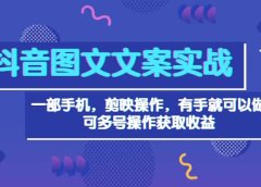抖音图文毒文案实战：一部手机 剪映操作 有手就能做，单号日入几十 可多号