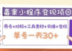 毒案小程序变现项目:养号+对标+工具素材+实操+变现