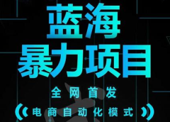引流哥蓝海暴力躺赚项目:无需发圈无需引流无需售后,每单赚50-500(教程+线报群)