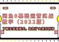 闲鱼0基础运营实战教学(2022版)了解无货源模式,如何扩大提升利润
