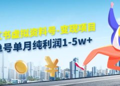 小红书虚拟资料号-变现项目：实操玩法分享