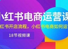 小红书·电商运营课:小红书开店流程,小红书电商如何运营(18节视频课)