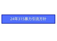 2024年315暴力引流方针
