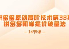 拼多多原创高阶技术第38期,拼多多阶梯提价破量法(14节课)